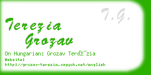 terezia grozav business card